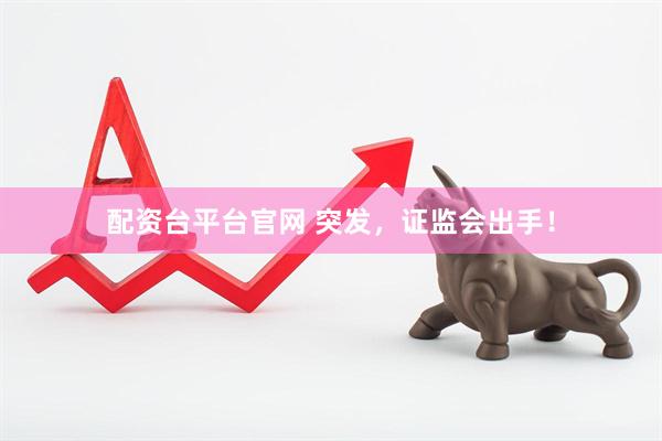 配资台平台官网 突发，证监会出手！